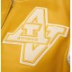 Wildcat Champion Avirex Varsity Jacket