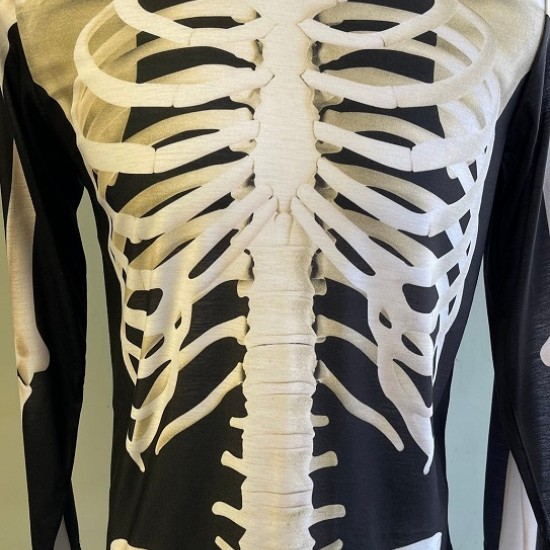 Halloween costume skeleton Polyester Unisex longsleeve shirt